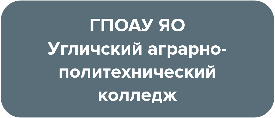 19.png